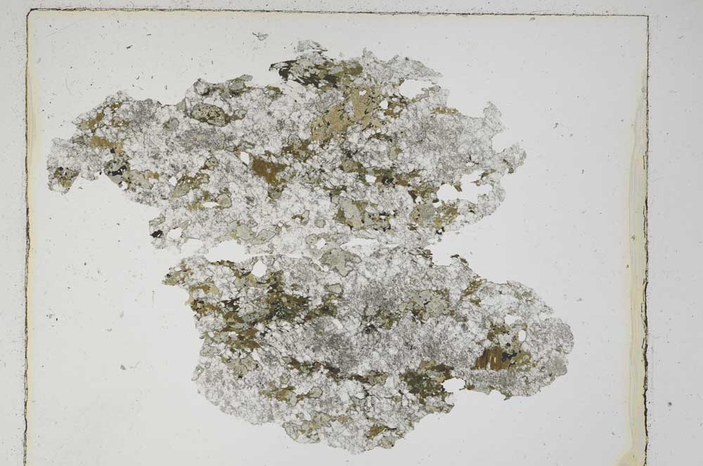 Plane Polarized, S5595