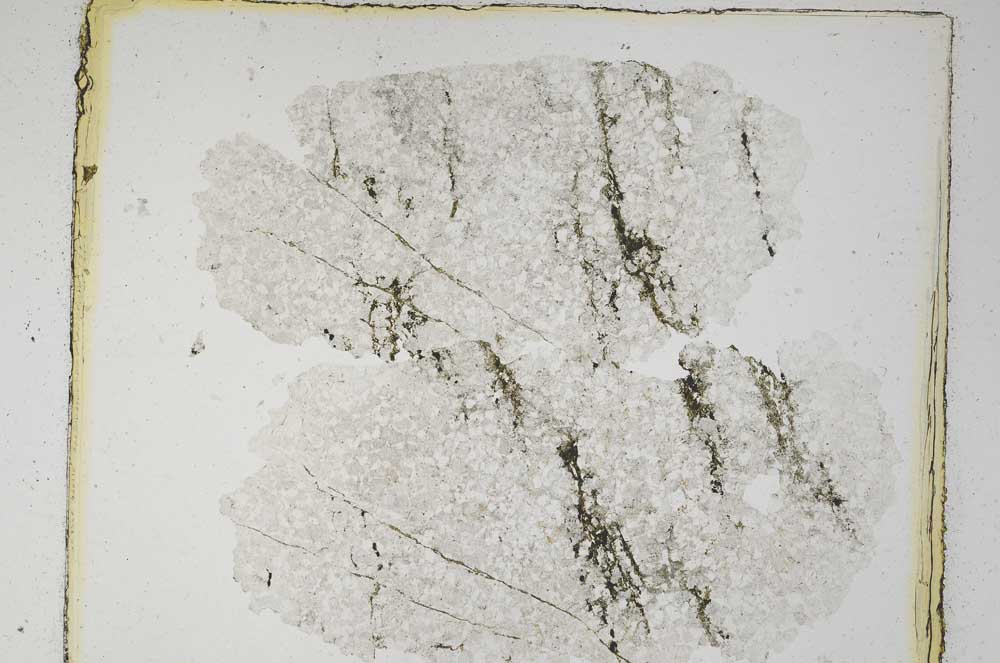 Plane Polarized, S5596