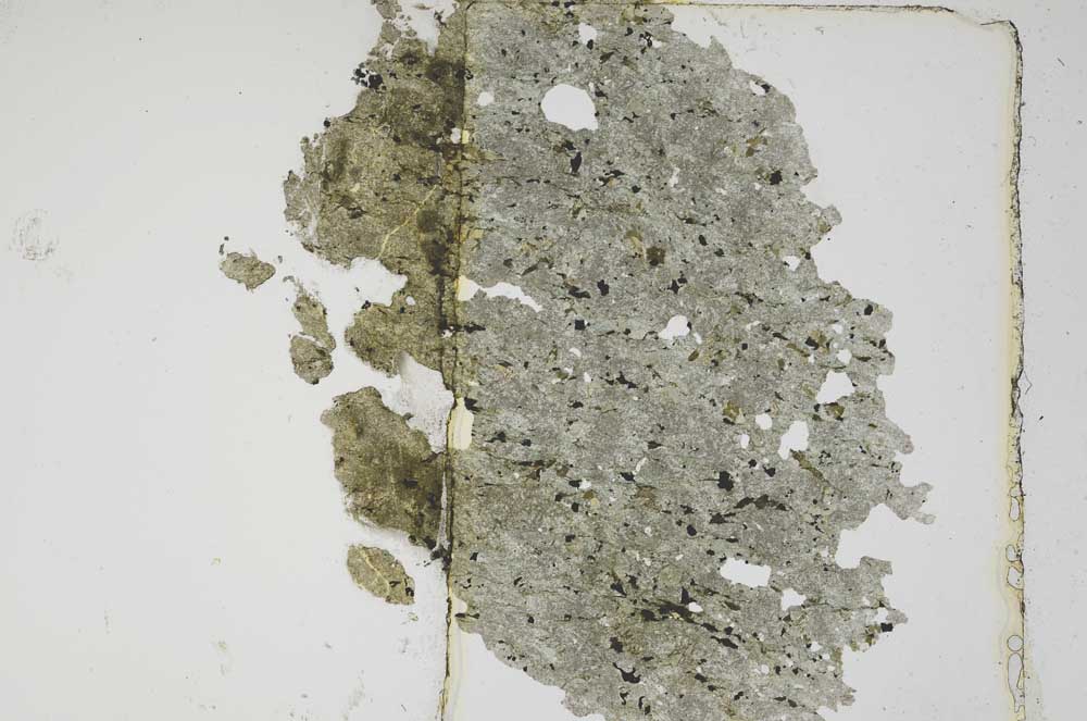 Plane Polarized, S5599