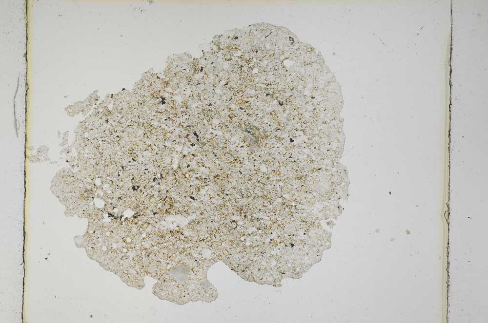 Plane Polarized, S5602