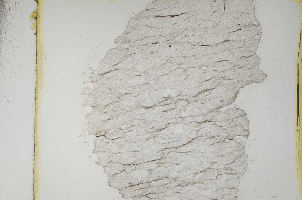 Plane Polarized, S5607