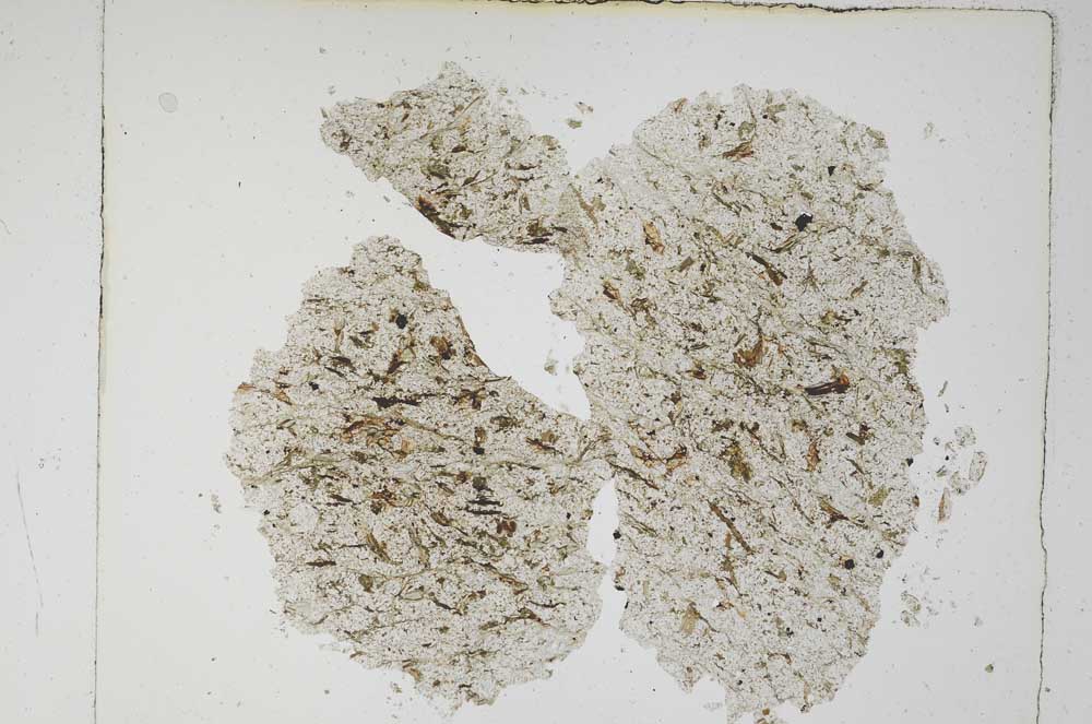 Plane Polarized, S5612