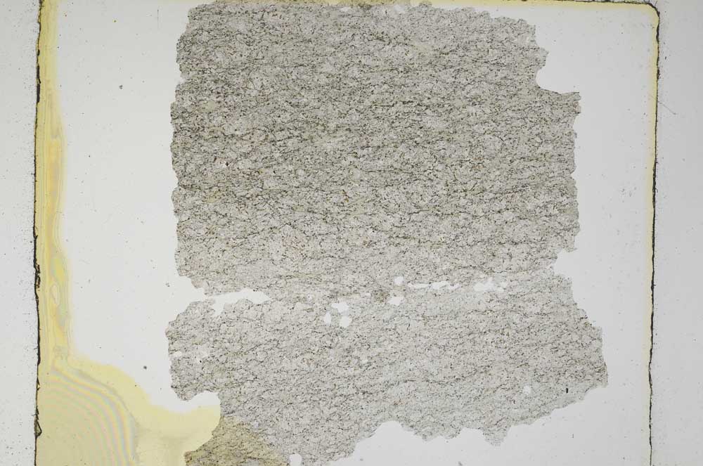 Plane Polarized, S5613