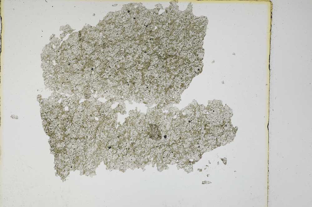 Plane Polarized, S5614