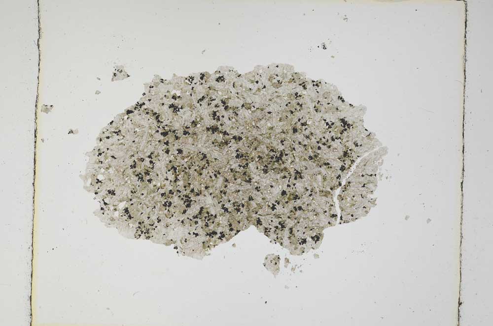 Plane Polarized, S5618