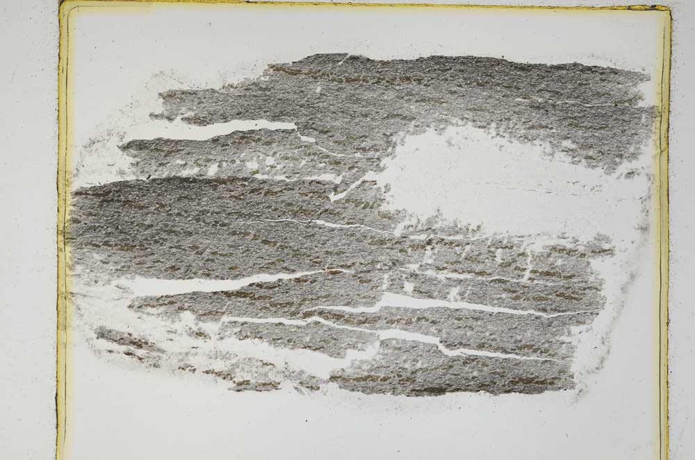 Plane Polarized, S5629