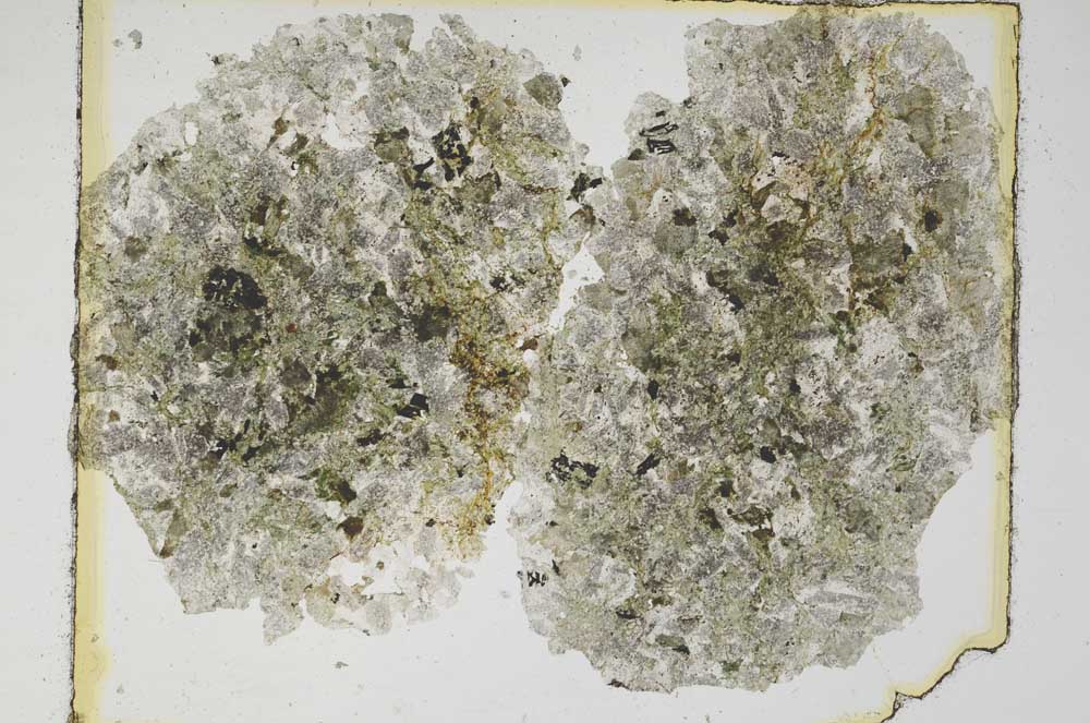 Plane Polarized, S5685
