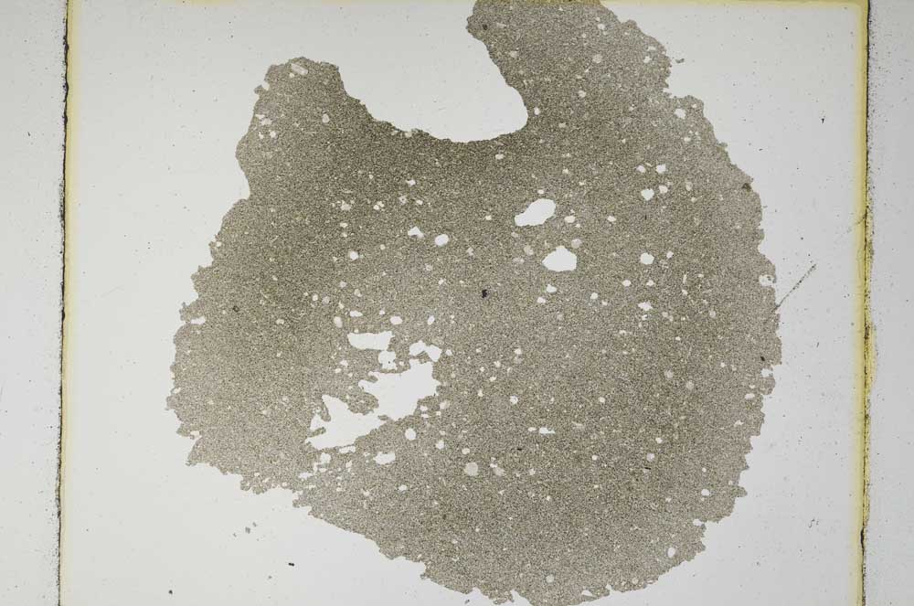 Plane Polarized, S5769