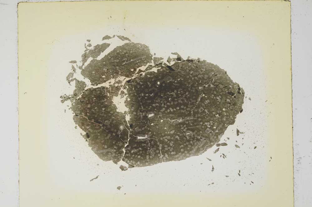 Plane Polarized, S5772