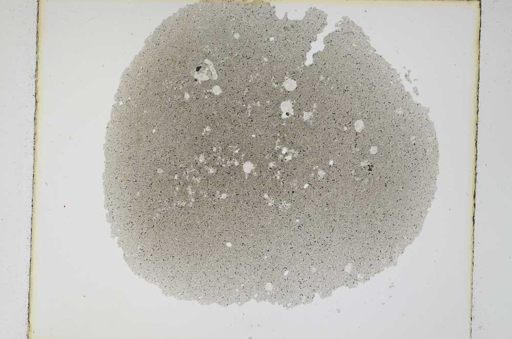 Plane Polarized, S5773