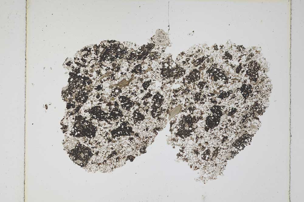 Plane Polarized, S5781