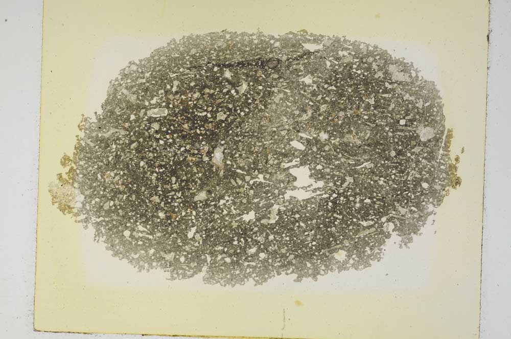 Plane Polarized, S5782