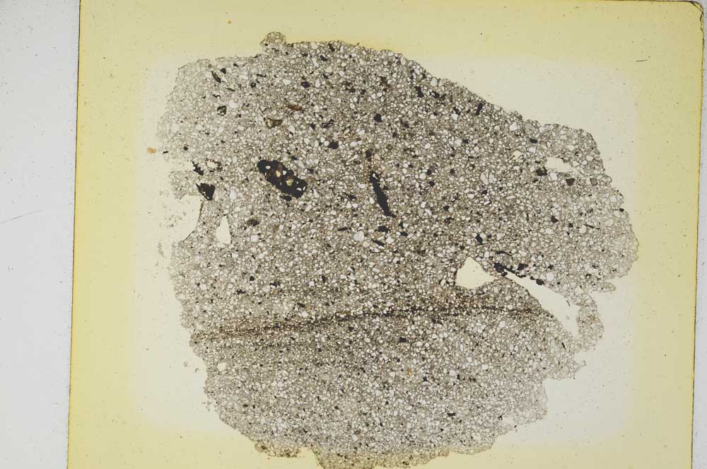 Plane Polarized, S5790