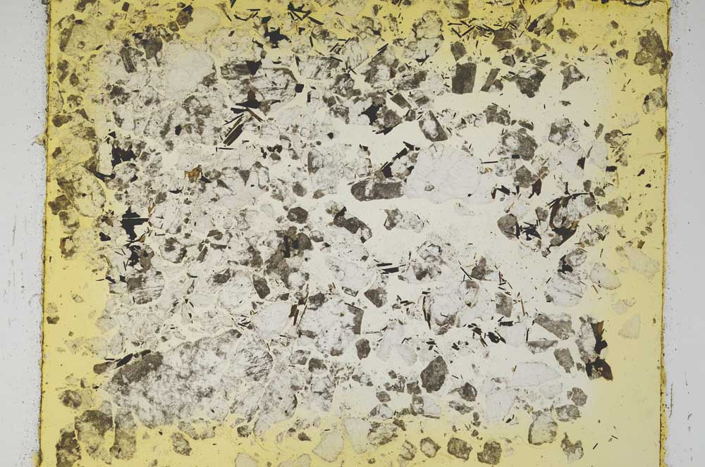 Plane Polarized, S5831