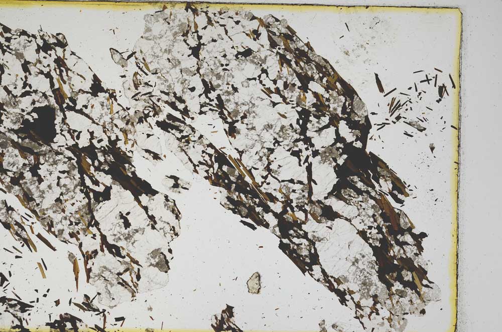 Plane Polarized, S5834