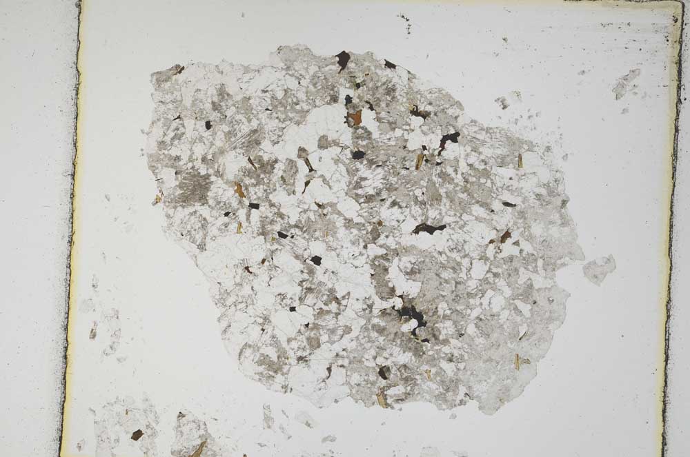 Plane Polarized, S5836