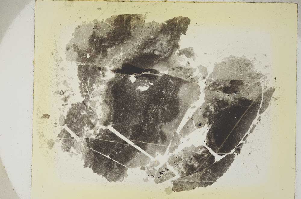 Plane Polarized, S5891