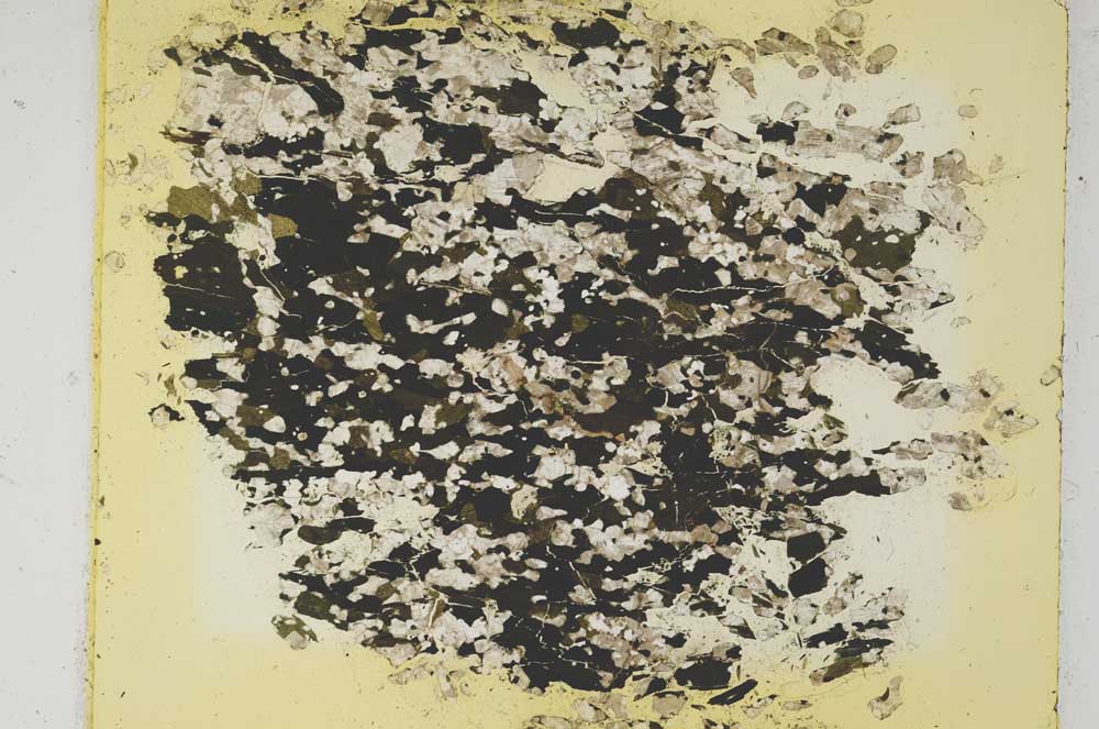 Plane Polarized, S5903