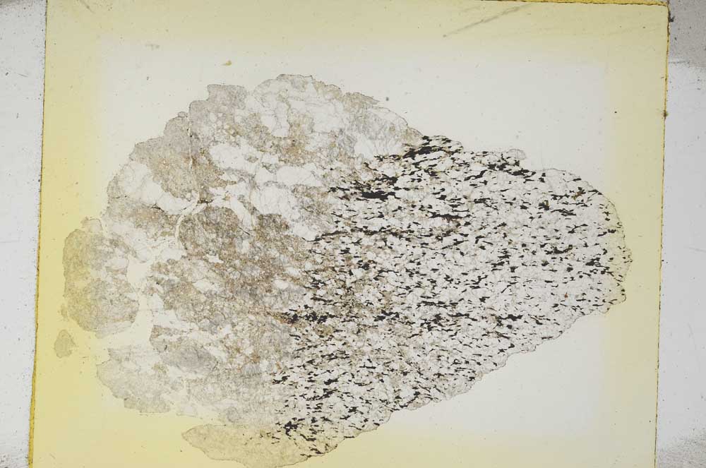 Plane Polarized, S5941
