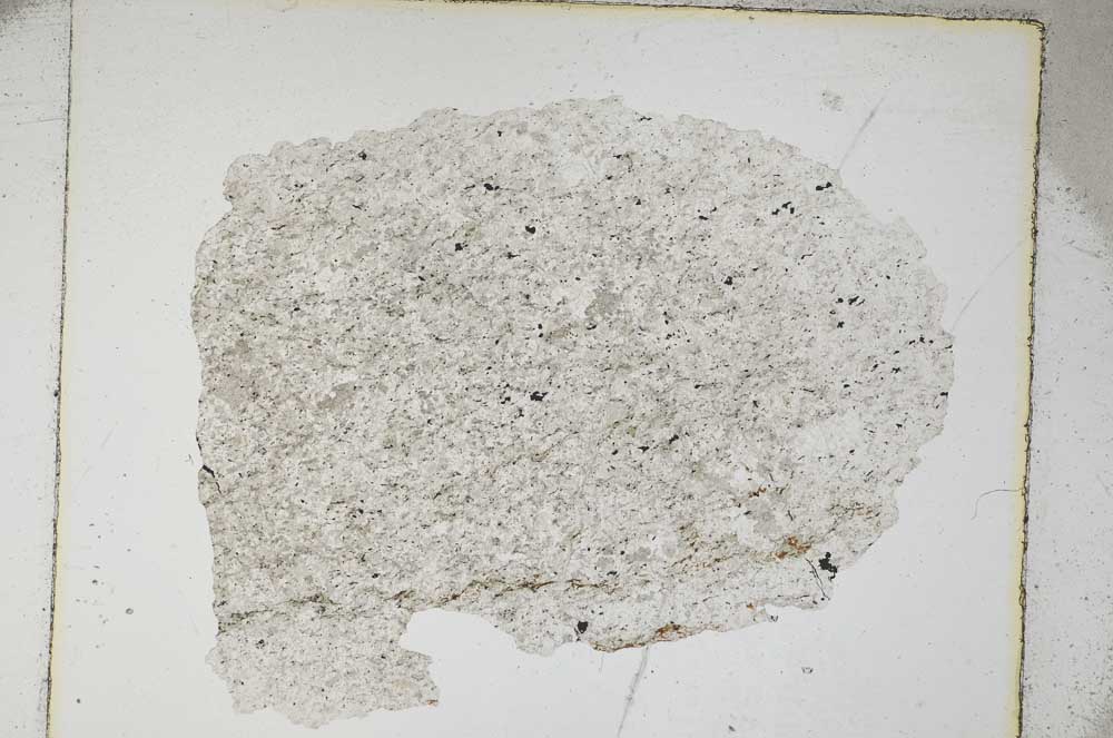 Plane Polarized, S5954