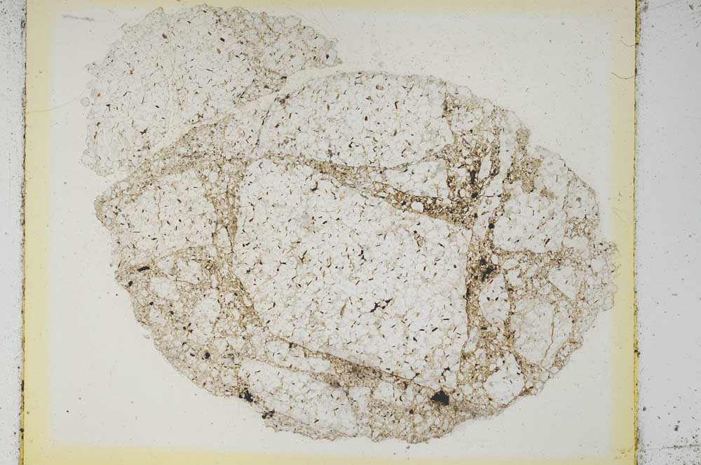 Plane Polarized, S5955