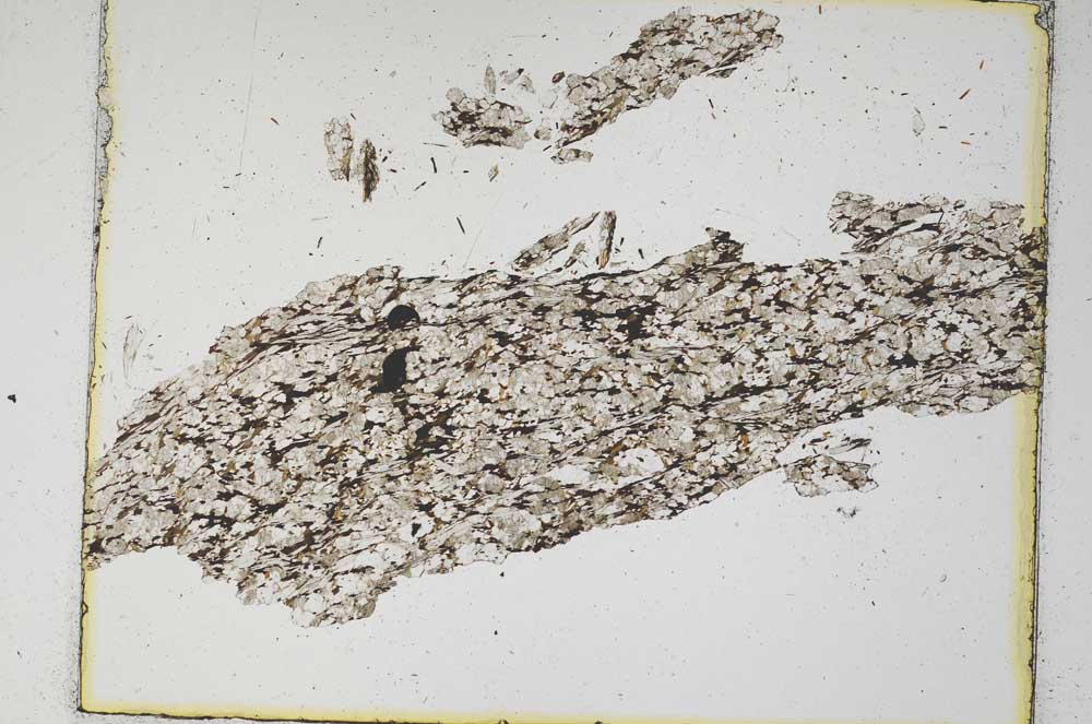 Plane Polarized, S5960