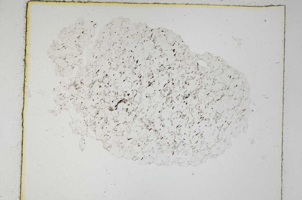 Plane Polarized, S5961