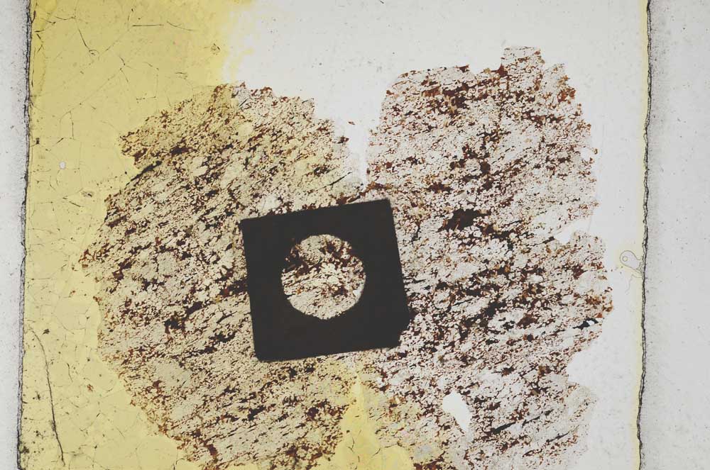 Plane Polarized, S6098