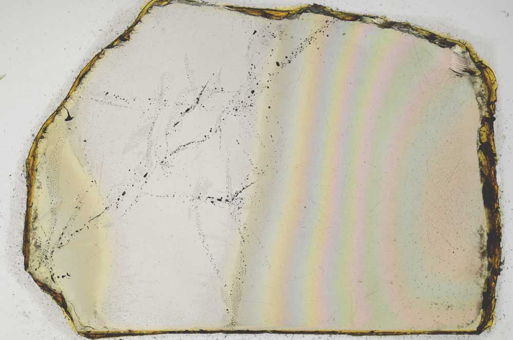 Plane Polarized, S6216