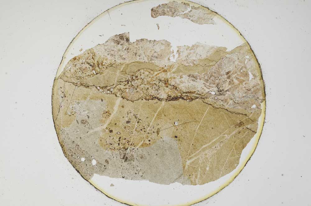 Plane Polarized, S6219