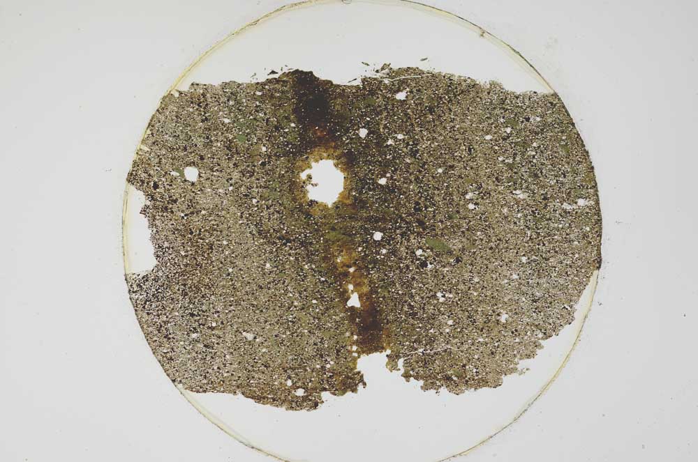 Plane Polarized, S6221