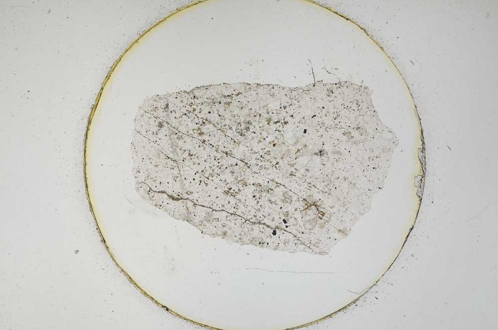 Plane Polarized, S6222