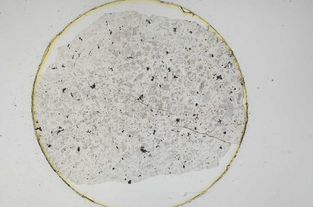 Plane Polarized, S6230