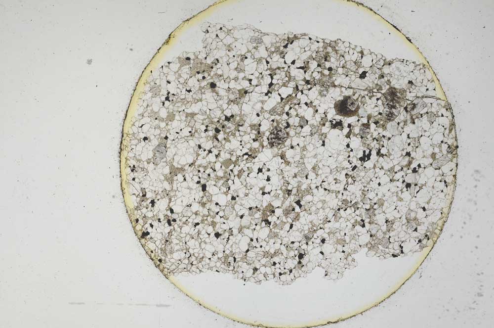 Plane Polarized, S6233