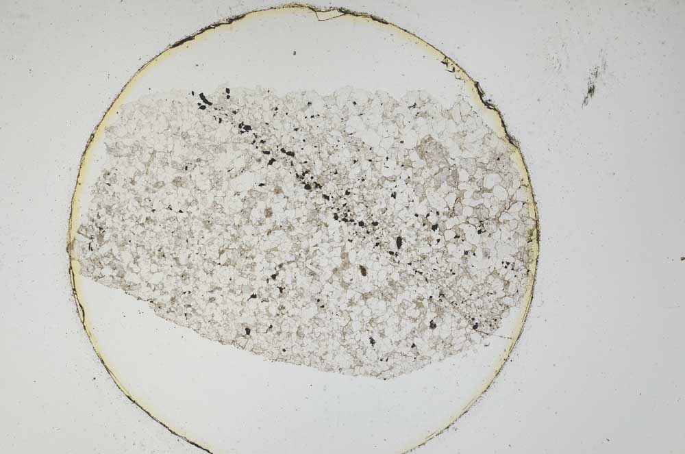 Plane Polarized, S6235