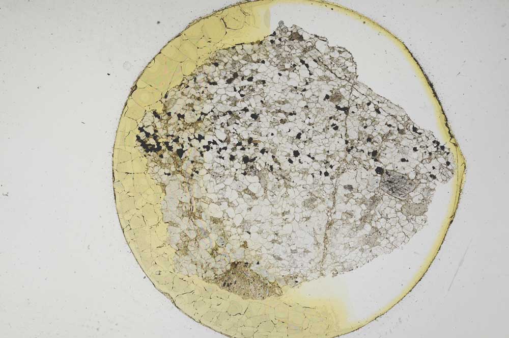 Plane Polarized, S6236