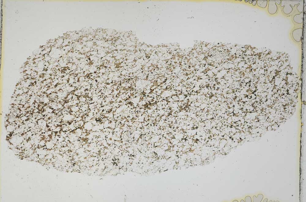 Plane Polarized, S6244