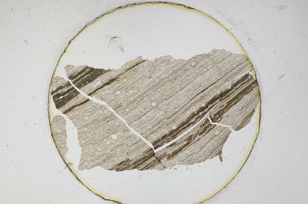 Plane Polarized, S6345