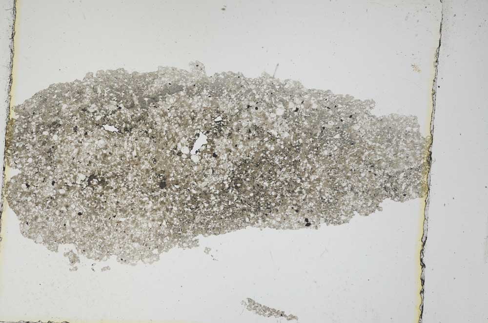 Plane Polarized, S6360