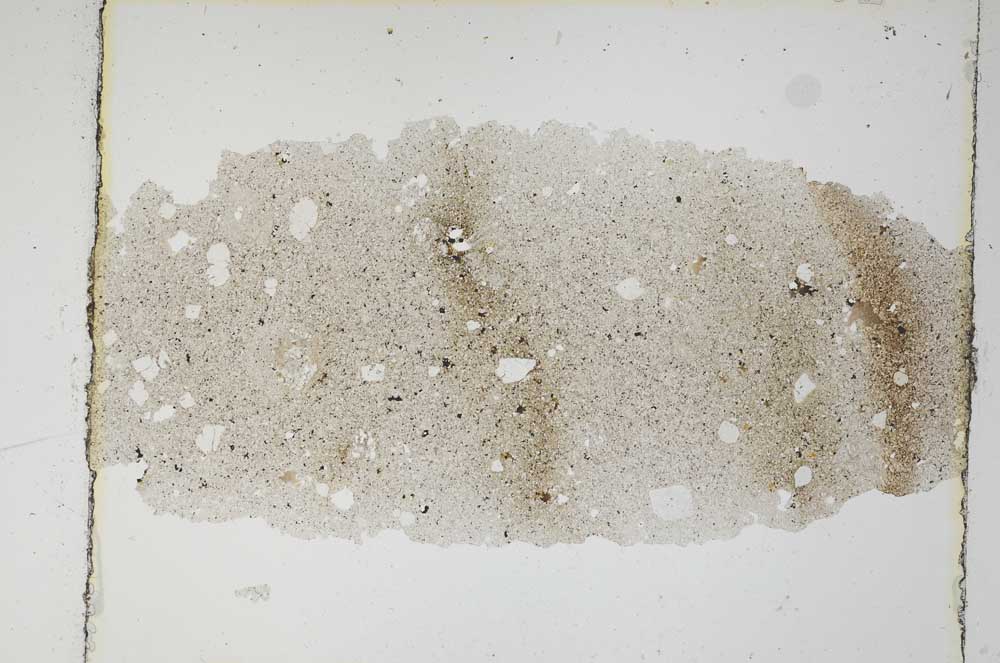 Plane Polarized, S6368