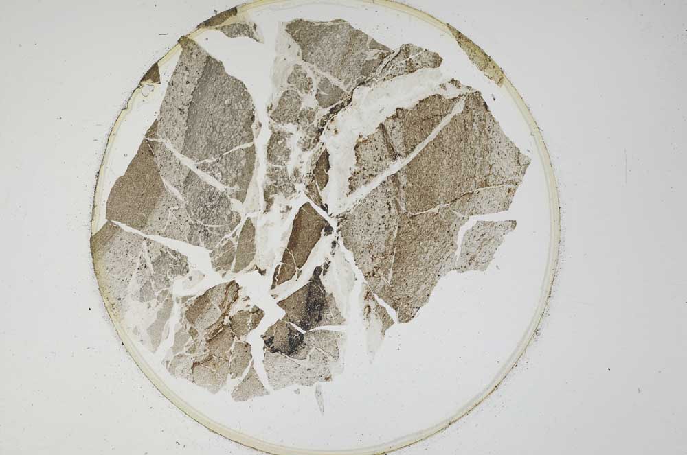 Plane Polarized, S6433