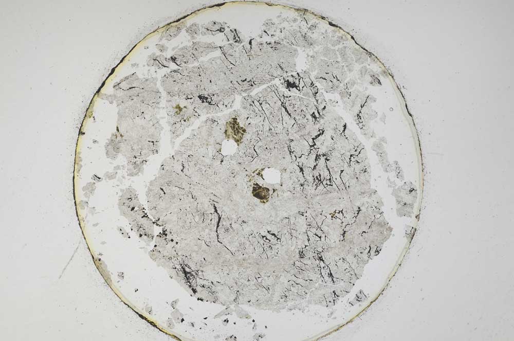 Plane Polarized, S6438