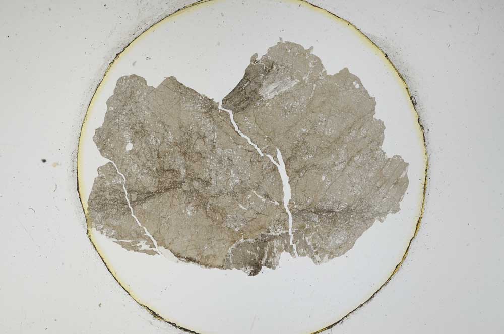 Plane Polarized, S6440