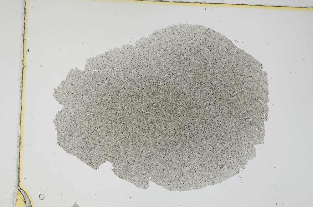 Plane Polarized, S6616