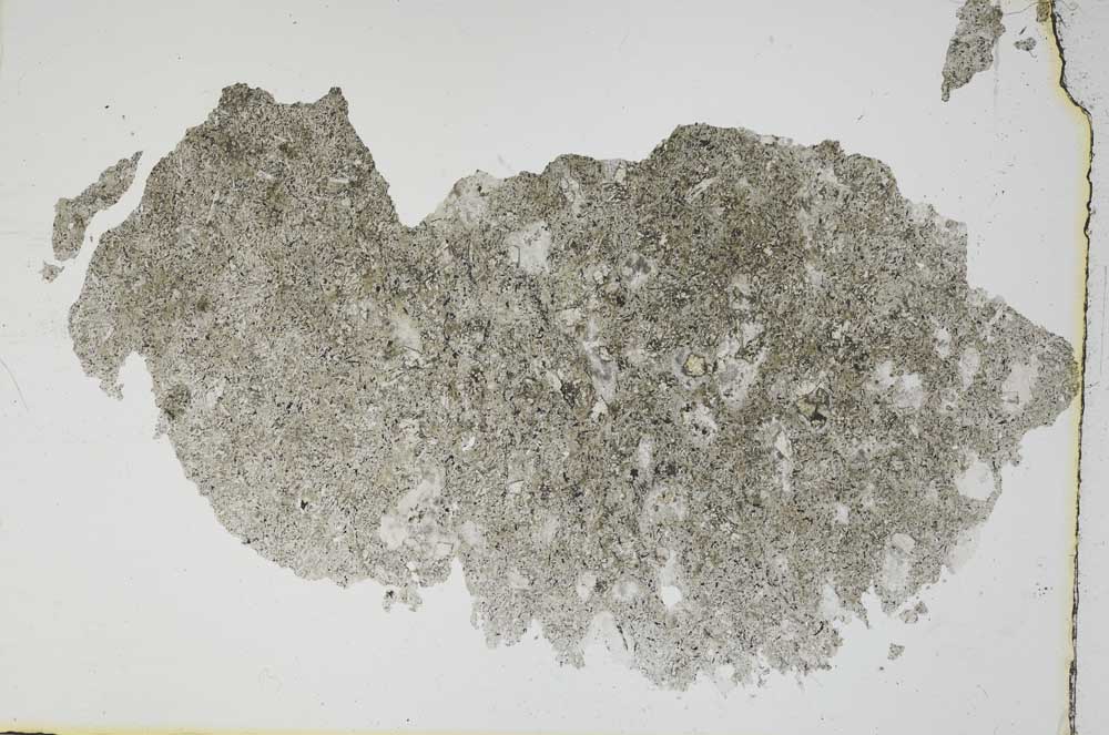 Plane Polarized, S6618