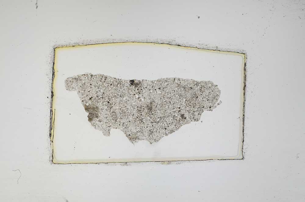 Plane Polarized, S6622