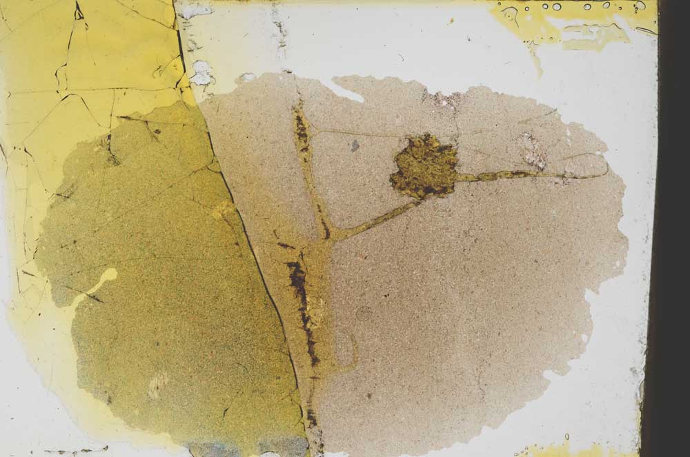 Plane Polarized, S6627