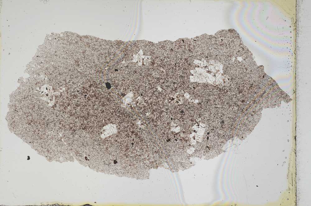 Plane Polarized, S6629