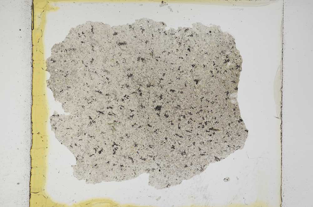 Plane Polarized, S6651