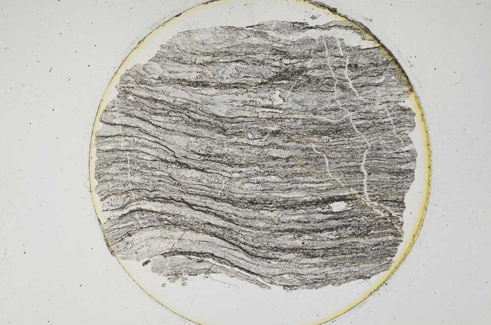 Plane Polarized, S6515